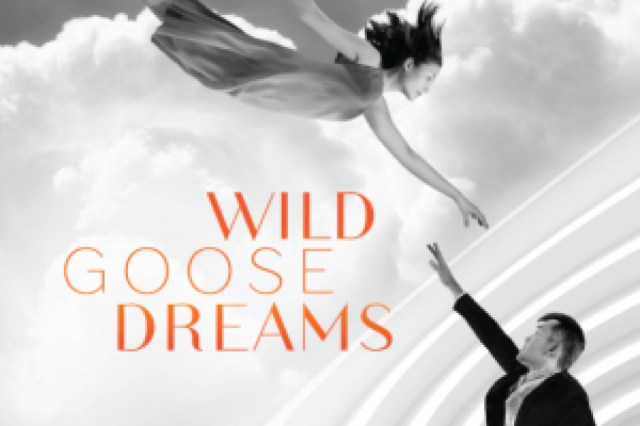 wild goose dreams logo 65889