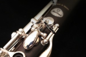 Wind Ensemble in Concert