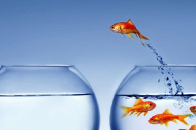 wonder company logo 61541