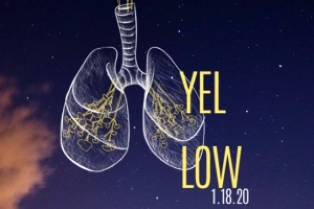 yellow logo 90296