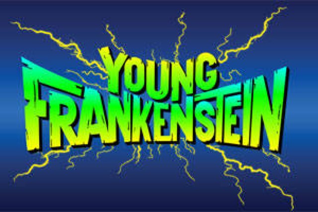 young frankenstein logo 57105 1