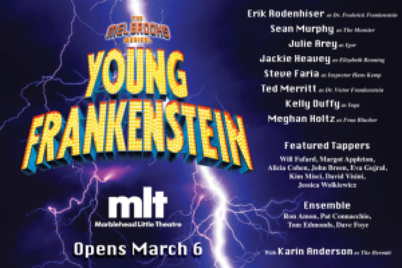 young frankenstein logo Broadway shows and tickets