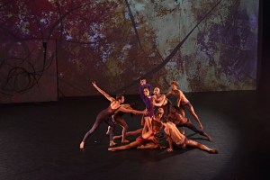 Raising the Arab Voice in Contemporary Dance – FJK Dance Ninth Season