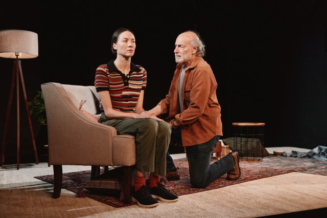 Interview: Peter Friedman Doesn't Share the Secrets of His Latest Job - Vimarsana News