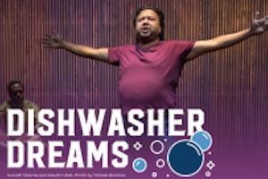 diswhasherdreams
