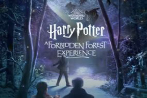 forbidden forest harry potter