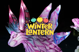 winter lantern festival