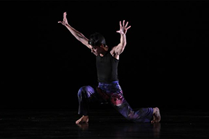 Hofstra University Fall Faculty Dance Concert