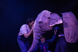 Review: A Houdini Magic Act Inspires a Story About the Problem of Animal Abuse in <i>The Vanishing Elephant</i>