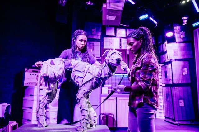 Our Favorite 2023 Shows (Outside of New York City) - Vimarsana News