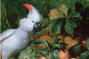 Music of the Baroque: Birds, Frogs, Crickets, & Dogs