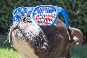 ROCK White & Blue!: A Rockin’ Celebration of Liberty Under the Stars at The Alexander