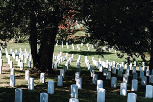 Arlington Cemetery & Smithsonian National Museum of American History Guided Tour