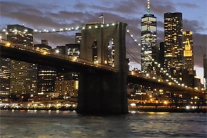 New York: Skyline and Statue of Liberty Night Cruise
