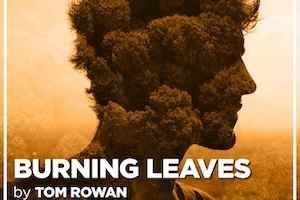 Burning Leaves