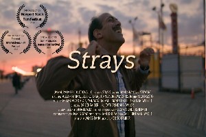 STRAYS: An Offical Entry in the San Fransico Dance Festival