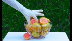 GUAVA AND OTHER TASTY FRUITS