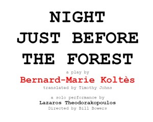 Night Just Before the Forest