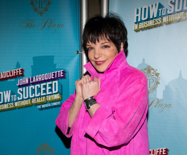Liza Minnelli (© Tristan Fuge)