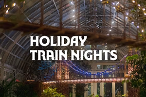 Holiday Train Nights at NYBG