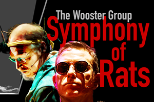 Symphony of Rats