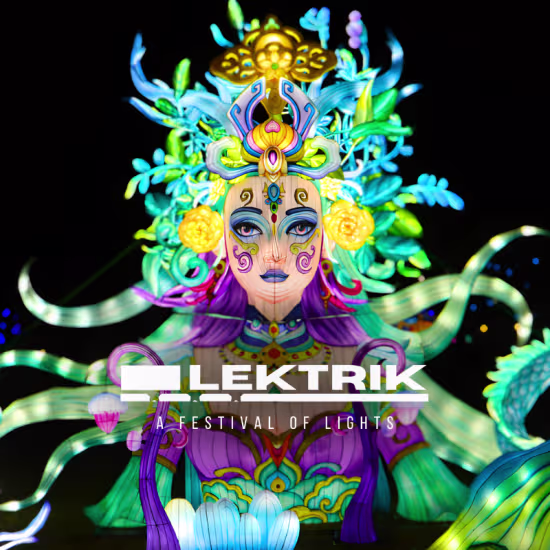 LEKTRIK ART: A Festival of Lights