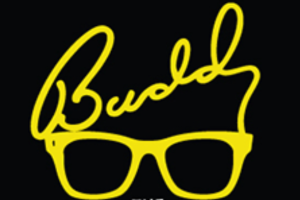 BUDDY block c0c509