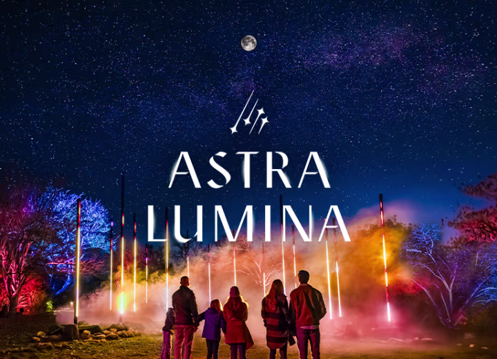 Astra Lumina: An Enchanted Night Walk Amongst the Stars