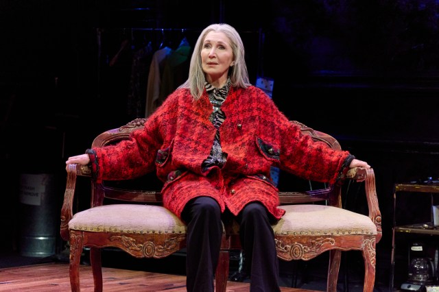 Joanna Gleason in Manhattan Theatre Club's We Had A World © Jeremy Daniel