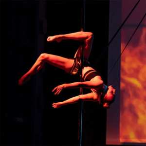 Vertical.Show by Pink Puma: An Award-winning Pole & Aerial Show