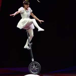 Amazing Acrobats: Grand Shanghai Circus Show in Branson