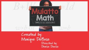 Mulatto Math: Summing Up the Race Equation in America