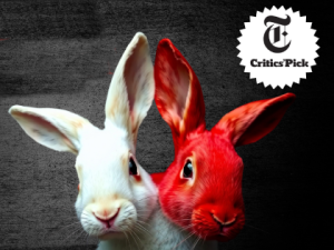 White Rabbit Red Rabbit