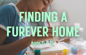2025 Summer Camps – Finding a Furever Home
