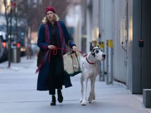 Movies @ The Reg: The Friend