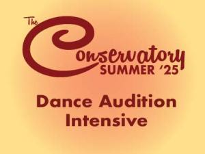 The Dance Audition Intensive