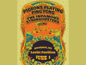 PIGEONS PLAYING PING PONG | INFAMOUS STRINGDUSTERS | MELT