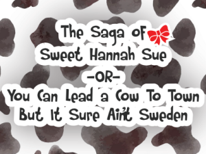 The Saga of Sweet Hannah Sue or You Can Lead A Cow…