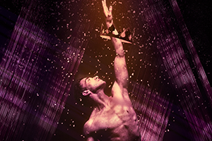 Pippin