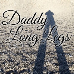 Daddy Long Legs