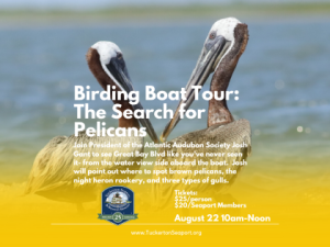 Birding Boat Tour: The Search for Pelicans 2025