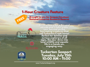1-Hour Creature Feature Creek Tour