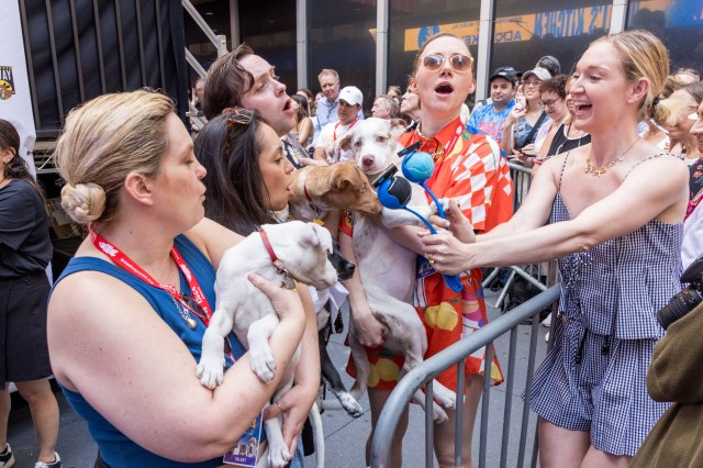 2025 07 12 TheaterMania Broadway Barks 50