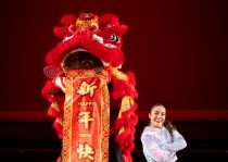 “Year of the Red Fire Horse”