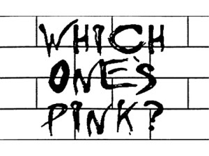 Which One’s Pink?