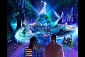 Harry Potter: A Forbidden Forest Experience