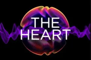 The Heart