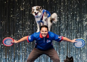 Stunt Dog Experience