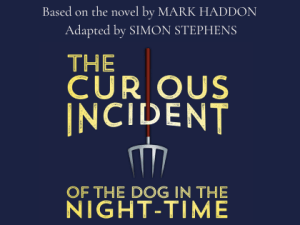 The Curious Incident of the Dog in the Night-Time