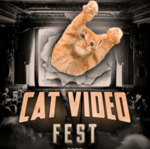 CatVideoFest 2025